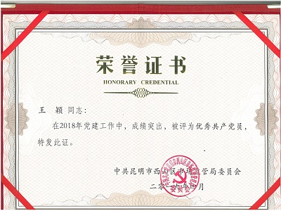“优秀共产党员”荣誉证书