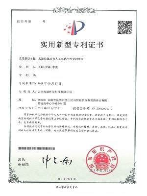 公司专利
