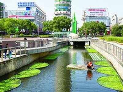 综合成功案例