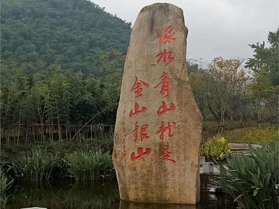 环境整治成功案例