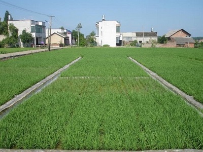 土壤修复成功案例