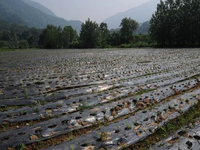 饮用水源地保护