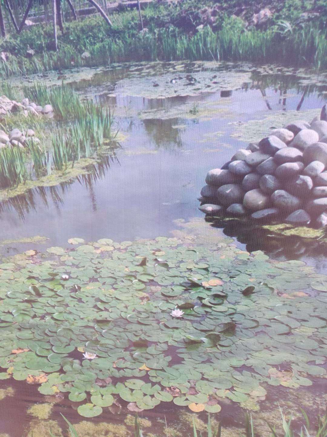 河道湖泊治理