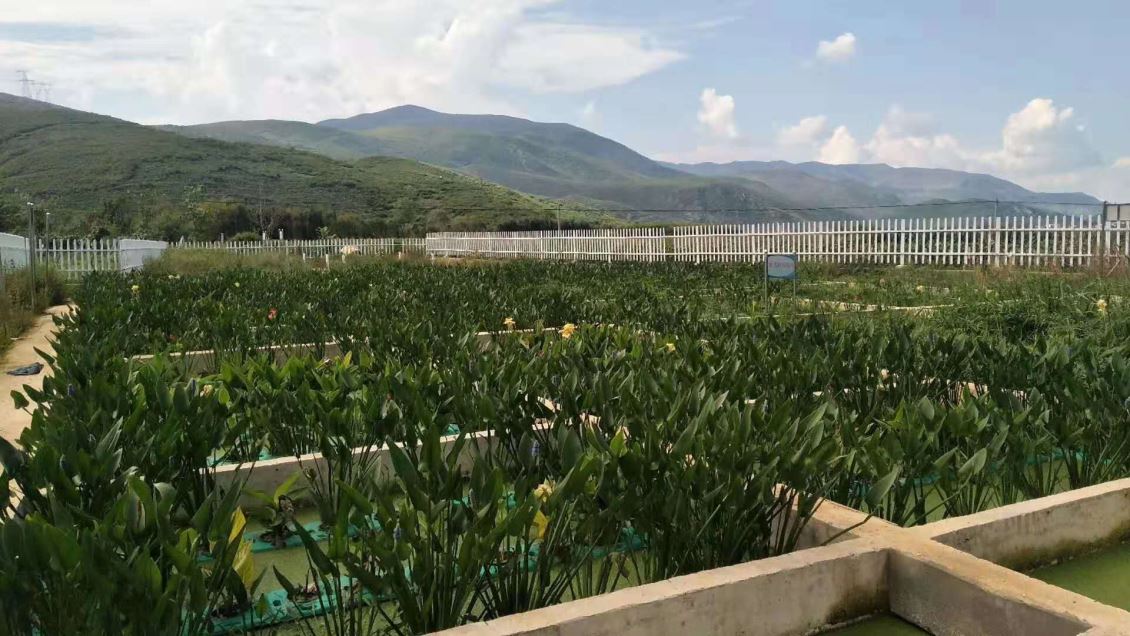 农村环境综合整治