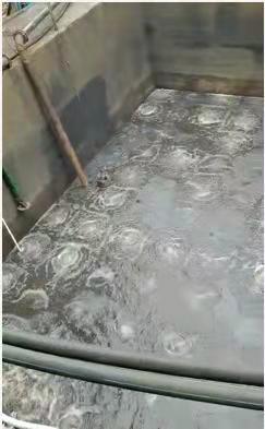 水处理设备曝气装置